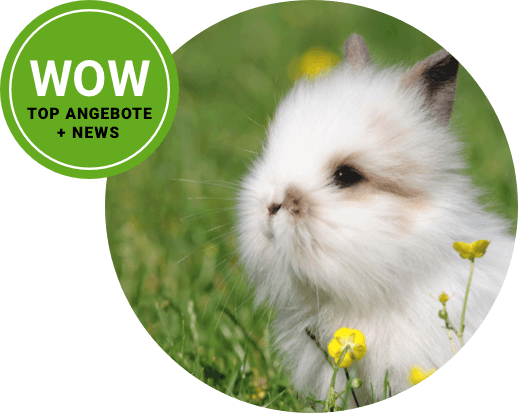 haustier newsletter haustier newsletter